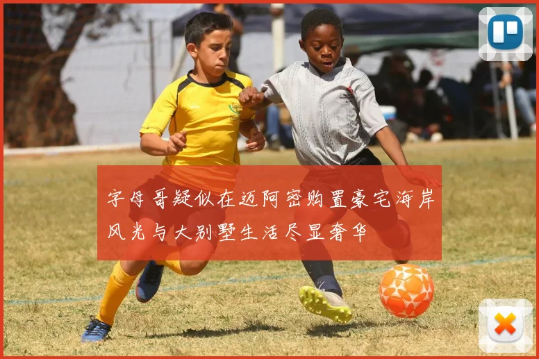 字母哥疑似在迈阿密购置豪宅海岸风光与大别墅生活尽显奢华