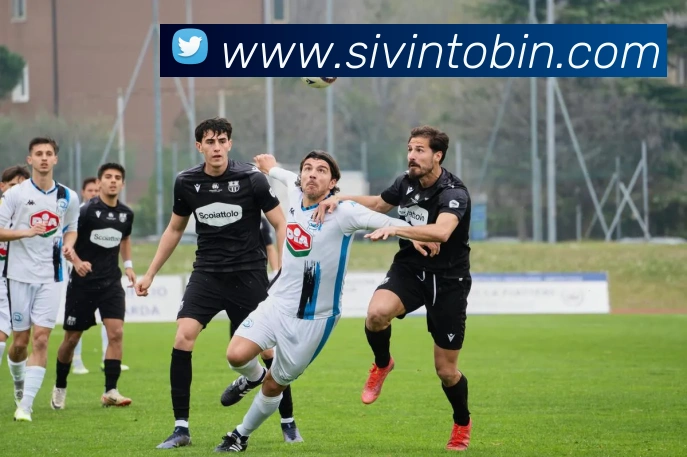 平台展示图